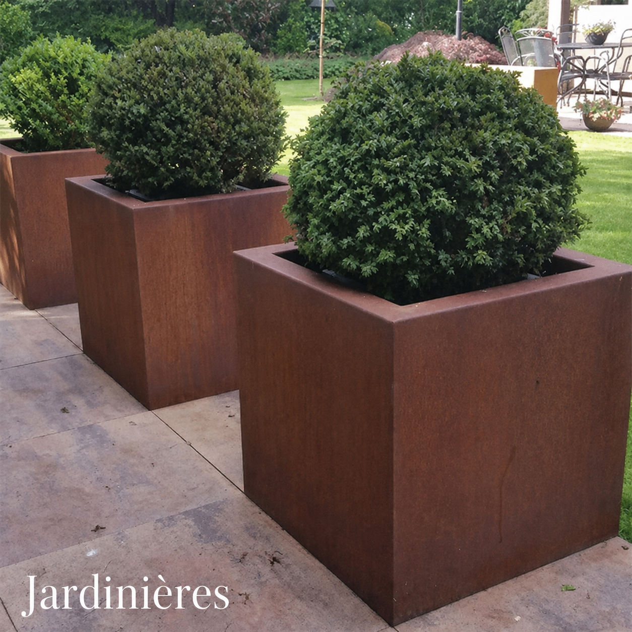 Ensemble de jardinières carrées en acier Corten contenant des arbustes taillés dans un jardin paysager.